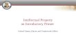 Intellectual Property an Introductory Primer United States Patent and Trademark Office