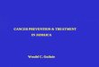CANCER PREVENTION & TREATMENT IN JAMAICA Wendel C. Guthrie