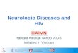 1 Neurologic Diseases and HIV HAIVN Harvard Medical School AIDS Initiative in Vietnam