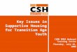 Key Issues in Supportive Housing for Transition Age Youth CiMH MHSA Webcast Training Series Thursday, July 28, 2005
