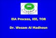 EIA Process, IEE, TOR Dr. Wesam Al Madhoun. 2 The Environmental Impact Assessment Process  Major steps in the EIA process are:  Screening  Initial