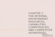 CHAPTER 3 THE INTERNAL ENVIRONMENT: RESOURCES, CAPABILITIES, COMPETENCIES, AND COMPETITIVE ADVANTAGES