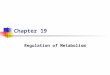 Chapter 19 Regulation of Metabolism. Copyright © The McGraw-Hill Companies, Inc. Permission required for reproduction or display. Nutritional Requirements