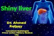 Shiny liver Dr. Ahmed Refaey. Format of the lecture Detection of liver masses by CT Hypervascular tumors of the liver Case of the day