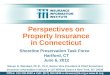 Perspectives on Property Insurance in Connecticut Shoreline Preservation Task Force Hartford, CT June 6, 2012 Steven N. Weisbart, Ph.D., CLU, Senior Vice