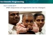 9.4 Genetic Engineering KEY CONCEPT DNA sequences of organisms can be changed