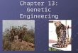 Chapter 13: Genetic Engineering. 13-1: Changing the Living World Humans use selective breeding to pass desired traits on to the next generation of organisms