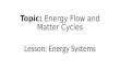 Topic: Energy Flow and Matter Cycles Lesson: Energy Systems