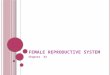 F EMALE R EPRODUCTIVE SYSTEM Chapter 32. P URPOSE OF THE FEMALE REPRODUCTIVE SYSTEM : Produce gamete Production of offspring Continuation of the genetic