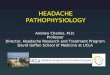 HEADACHE PATHOPHYSIOLOGY Andrew Charles, M.D. Professor Director, Headache Research and Treatment Program David Geffen School of Medicine at UCLA