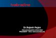 1 Ivabradine Dr.Rajesh Rajan M.D.,D.Card,FACC,FAHA,FESC PRESIDENT – IACC 