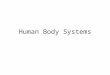 Human Body Systems. Multi-cellular Organisms Organisms that made up of many cells are called multi-cellular. Multi-cellular organism depend of a variety