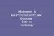 Abdomen & Gastrointestinal System RTEC 91 Pathology
