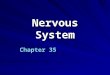 Nervous System Chapter 35. Vocabulary 1. muscle tissue 2. epithelial tissue 3. connective tissue 4. nervous tissue 5. negative feedback 6. neuron 7. cell