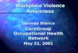 Workplace Violence Awareness Lucinda Bianco CareGroup Occupational Health Network May 22, 2001