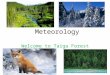 Meteorology Welcome to Taiga Forest. Taiga Forest Taigan forests are located on the northern parts of the world including a large portion of Canada and