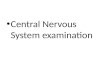 Central Nervous System examination. NEUROLOGICAL EXAM MENTAL STATUS CRANIAL NERVES MOTOR EXAM – STRENGTH – GAIT – CEREBELLAR REFLEXES SENSATION