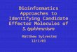 Bioinformatics Approaches to Identifying Candidate Effector Molecules of S. typhimurium Matthew Sylvester 12/1/03