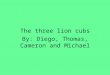 The three lion cubs By: Diego, Thomas, Cameron and Michael