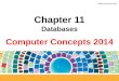 Computer Concepts 2014 Chapter 11 Databases. 11 Database Basics  A database is a collection of information  Typically stored as computer files  The