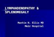 LYMPHADENOPATHY & SPLENOMEGALY Martin H. Ellis MD Meir Hospital