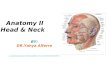Anatomy II Head & Neck BY: DR.Yahya Alfarra CANADIAN BOARD IN DENTISTRY