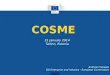 COSME 31 January 2014 Tallinn, Estonia Andreas Veispak DG Enterprise and Industry - European Commission