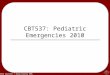 © 2010 Seattle / King County EMS CBT537: Pediatric Emergencies 2010