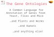 A Common Language for Annotation of Genes from Yeast, Flies and Mice The Gene Ontologies …and Plants and Worms …and Humans …and anything else!