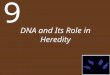 DNA and Its Role in Heredity 9. Chapter 9 DNA and Its Role in Heredity Key Concepts 9.1 DNA Structure Reflects Its Role as the Genetic Material 9.2 DNA