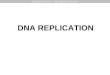DNA REPLICATION MOLECULAR BIOLOGY â€“ DNA replication, transcription