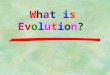 What is Evolution? What is Evolution?. EVOLUTION: the process of change over time Evolution is the idea that new species develop from earlier species