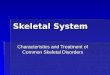 Skeletal System Characteristics and Treatment of Common Skeletal Disorders
