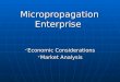 Micropropagation Enterprise Economic Considerations Economic Considerations Market Analysis Market Analysis
