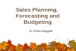 1 Sales Planning, Forecasting and Budgeting Dr Githa Heggde