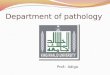 Department of pathology Prof:- Adiga. Student name :- Saeed Ayed saed -432800220 Abdulrahman Awagi Alnami -432800221 Muhannad Ali Asiri -432800225 Faris