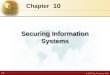 7.1 © 2007 by Prentice Hall 10 Chapter Securing Information Systems
