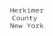 Herkimer County New York. An Environmental Health Diagnosis By Lily Fitzgerald 7 th grade, Tamarac Secondary