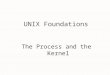 1 UNIX Foundations The Process and the Kernel. Course Description u The Goals for this course u Understand UNIX u Understand Operating Systems u Prerequisites: