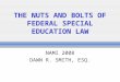 THE NUTS AND BOLTS OF FEDERAL SPECIAL EDUCATION LAW NAMI 2008 DAWN R. SMITH, ESQ