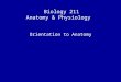 Biology 211 Anatomy & Physiology I Orientation to Anatomy