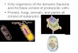 Only organisms of the domains Bacteria and Archaea consist of prokaryotic cells. Protists, fungi, animals, and plants all consist of eukaryotic cells