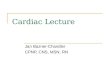 Cardiac Lecture Jan Bazner-Chandler CPNP, CNS, MSN, RN