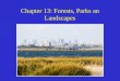 Chapter 13: Forests, Parks an Landscapes. Modern Conflicts over Forestland and Forest Resources In recent decades forest conservation has become an international