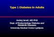 Type 1 Diabetes in Adults Type 1 Diabetes in Adults Andrej Janež, MD PhD Dept. of Endocrinology Diabetes and Metabolic Diseases University Medical Center