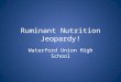 Ruminant Nutrition Jeopardy! Waterford Union High School