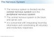 Copyright © 2009 Pearson Education, Inc. The Nervous System  The nervous system is divided into the central nervous system and the peripheral nervous