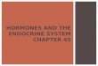 HORMONES AND THE ENDOCRINE SYSTEM CHAPTER 45.  Animal hormones are chemical signals that are secreted into the circulatory system and communicate regulatory