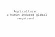 Agriculture: a human induced global megatrend