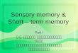 1 Sensory memory & Short – term memory Part I พ. ญ. กาญจนา พิทักษ์วัฒนานนท์ อายุรแพทย์เฉพาะทางระบบประสาท